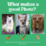 Custom Pet Portrait from Photo – Personalized Digital Dog Art & Memorial Gift